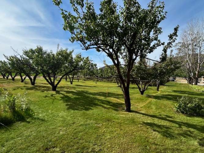 1893 Pine Creek Road Property Photo 26