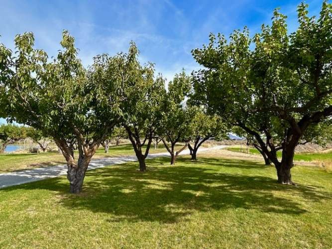 1893 Pine Creek Road Property Photo 27
