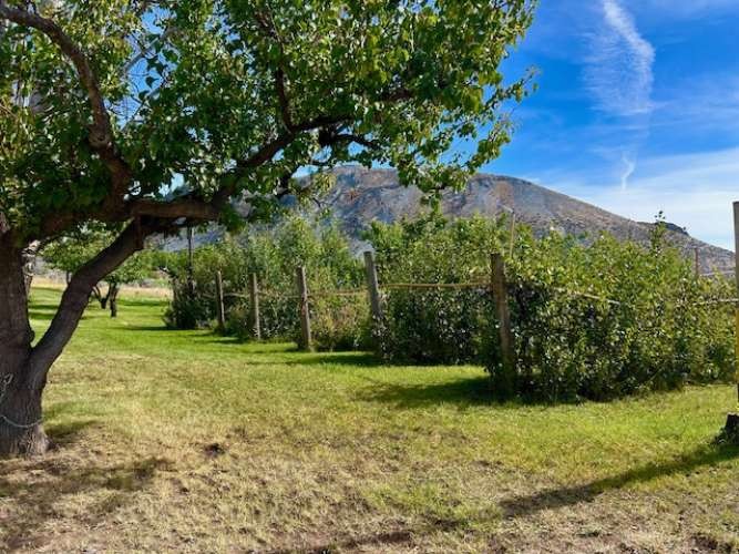 1893 Pine Creek Road Property Photo 32