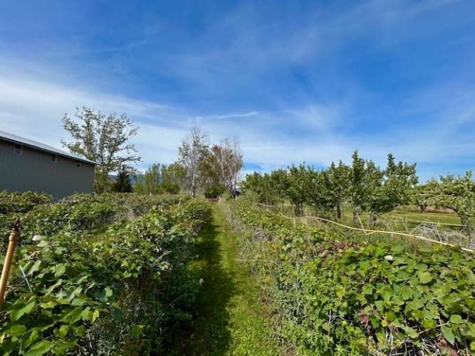 1893 Pine Creek Road Property Photo 36