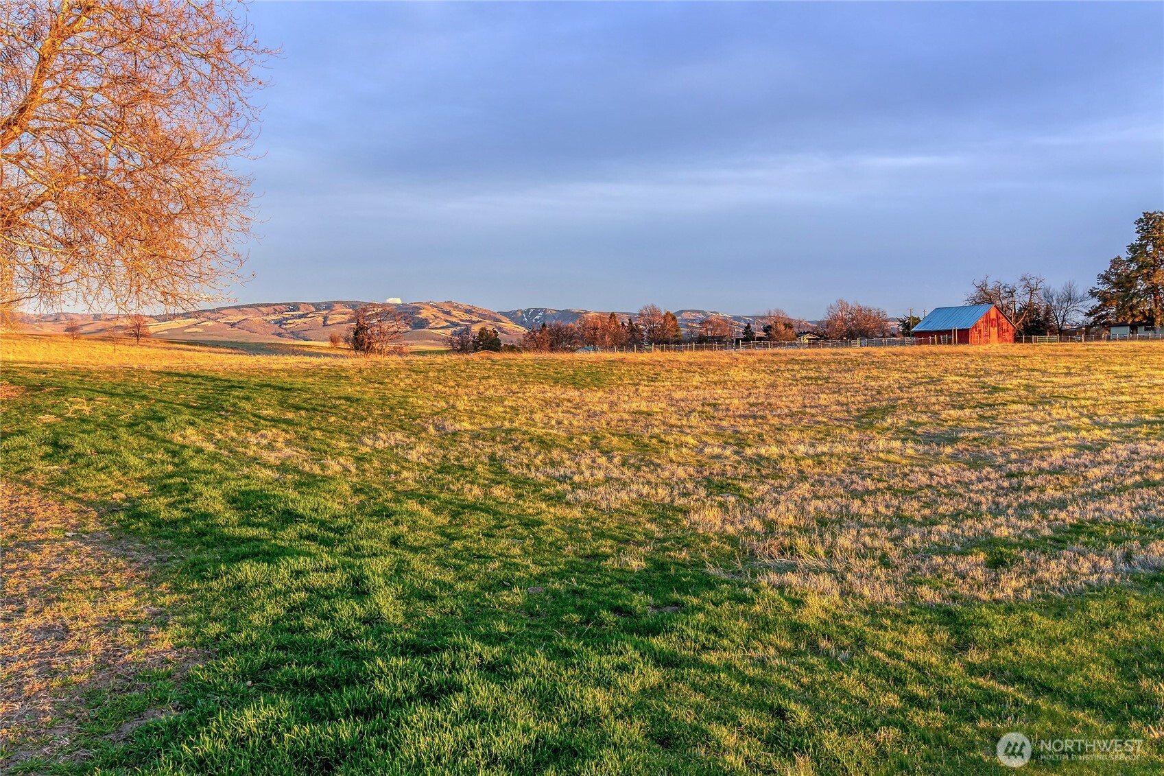 1111 Rooster Road Property Photo 29