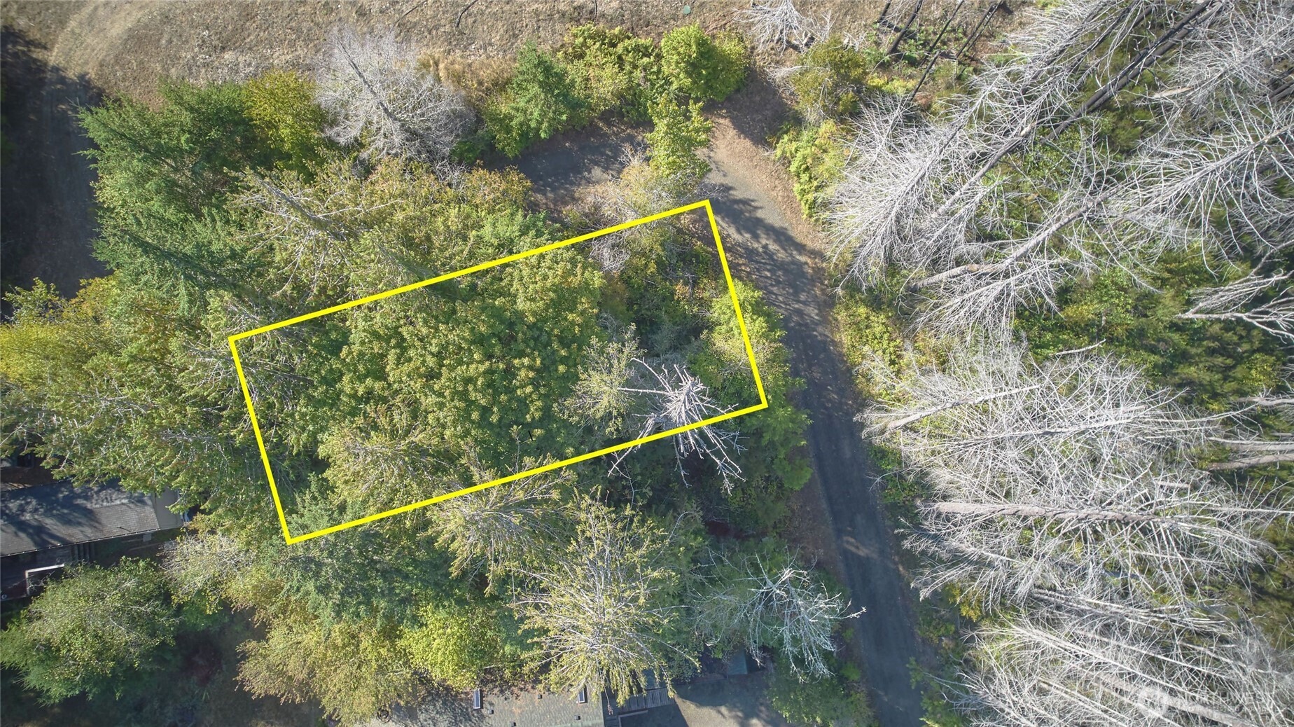 41 E Galliano Drive Property Photo 3