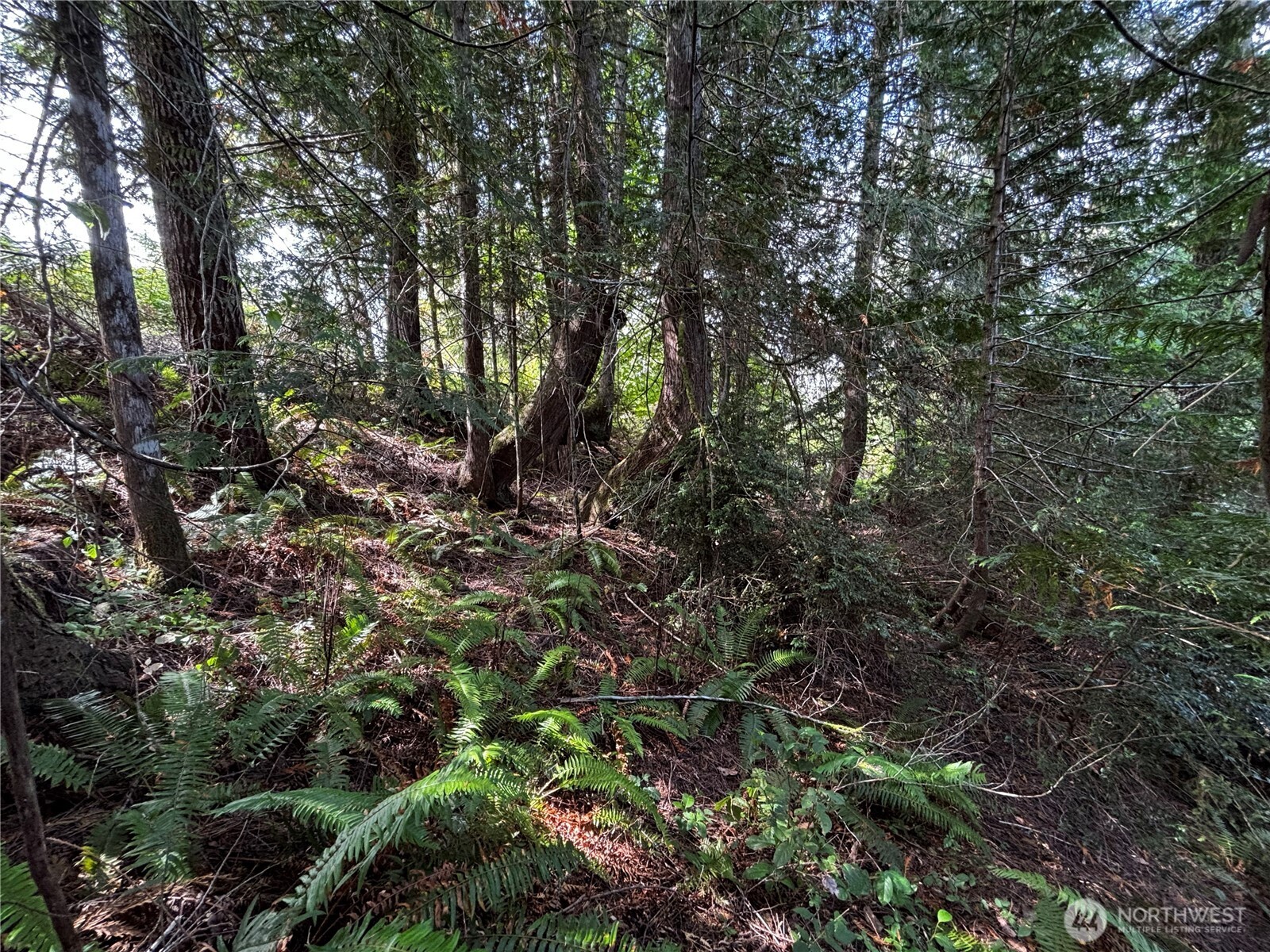 41 E Galliano Drive Property Photo 7