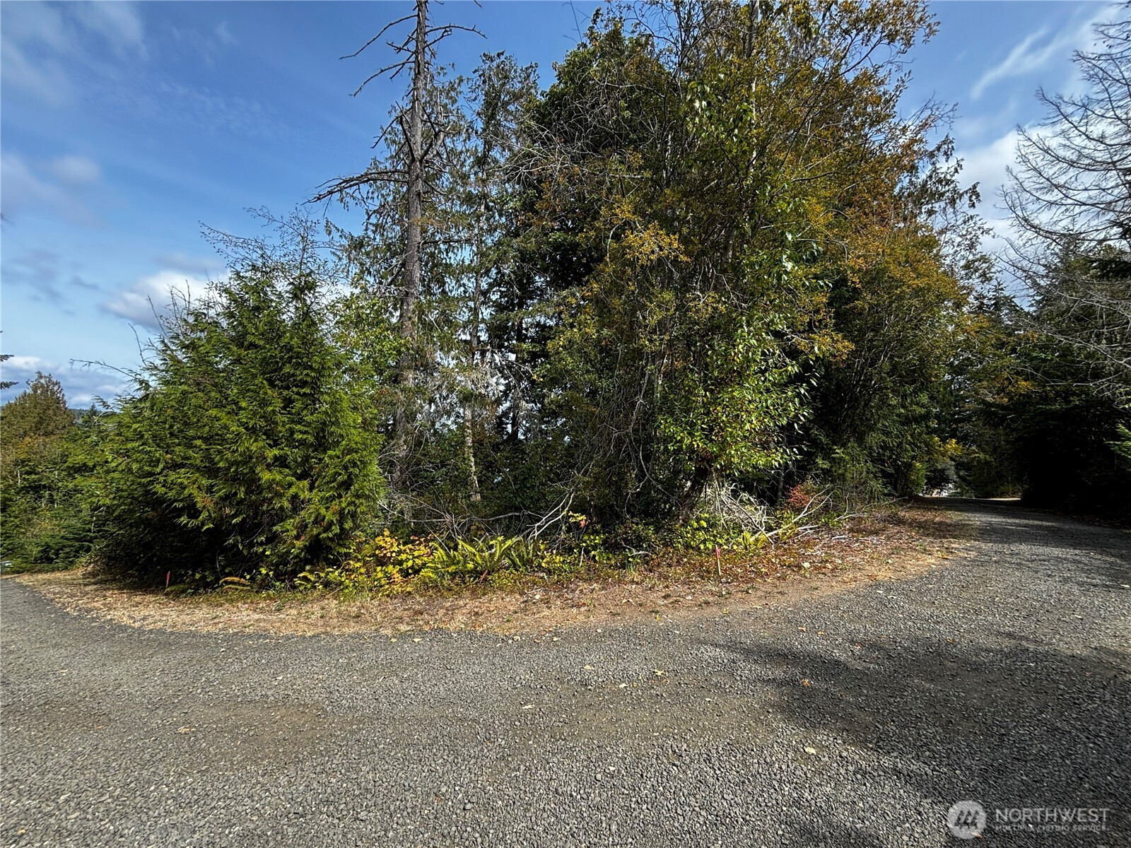 41 E Galliano Drive Property Photo 10
