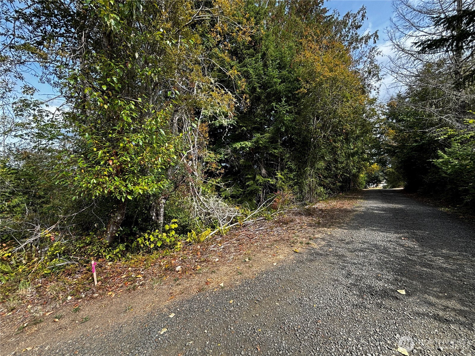 41 E Galliano Drive Property Photo 11