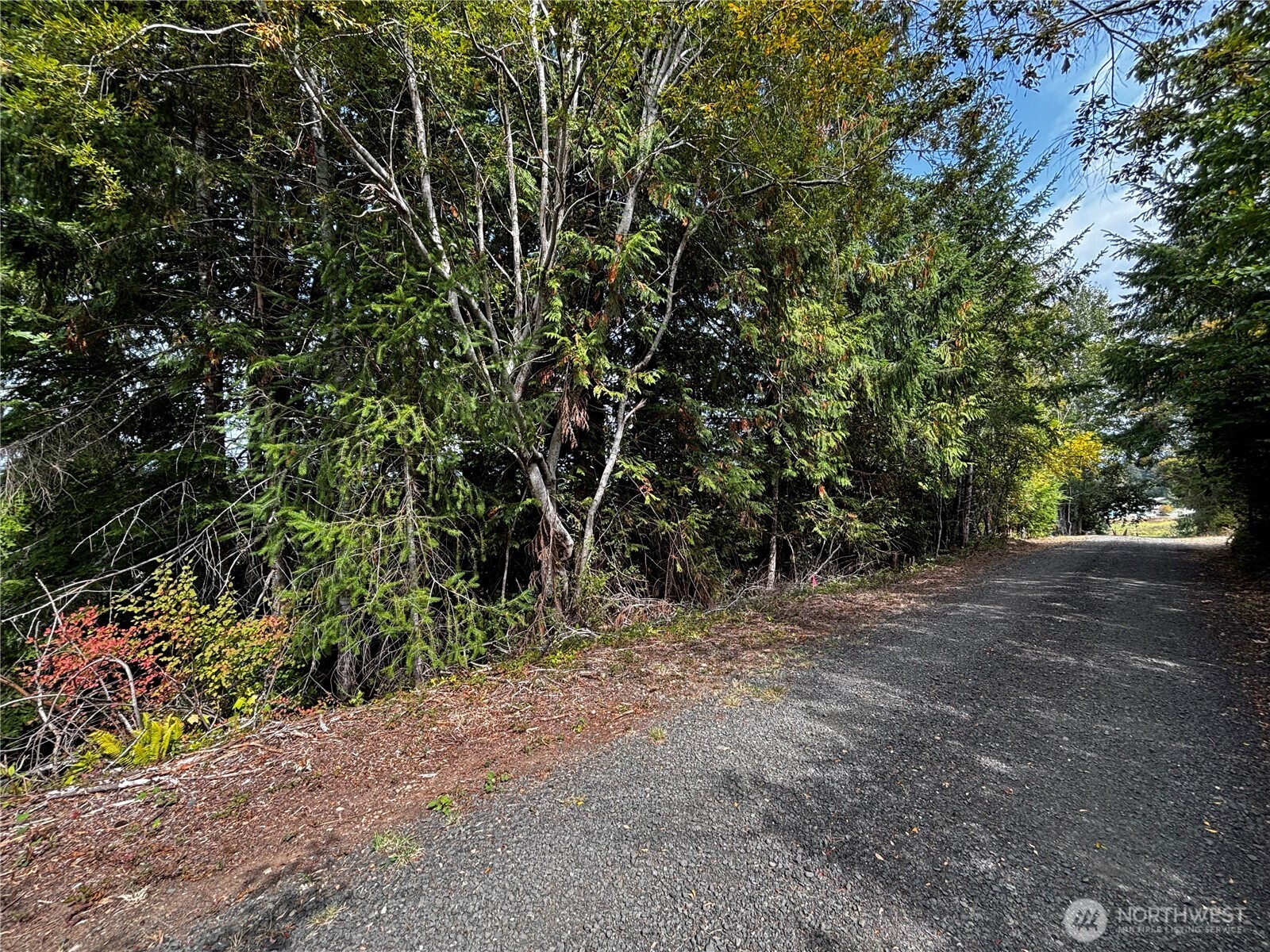 41 E Galliano Drive Property Photo 12
