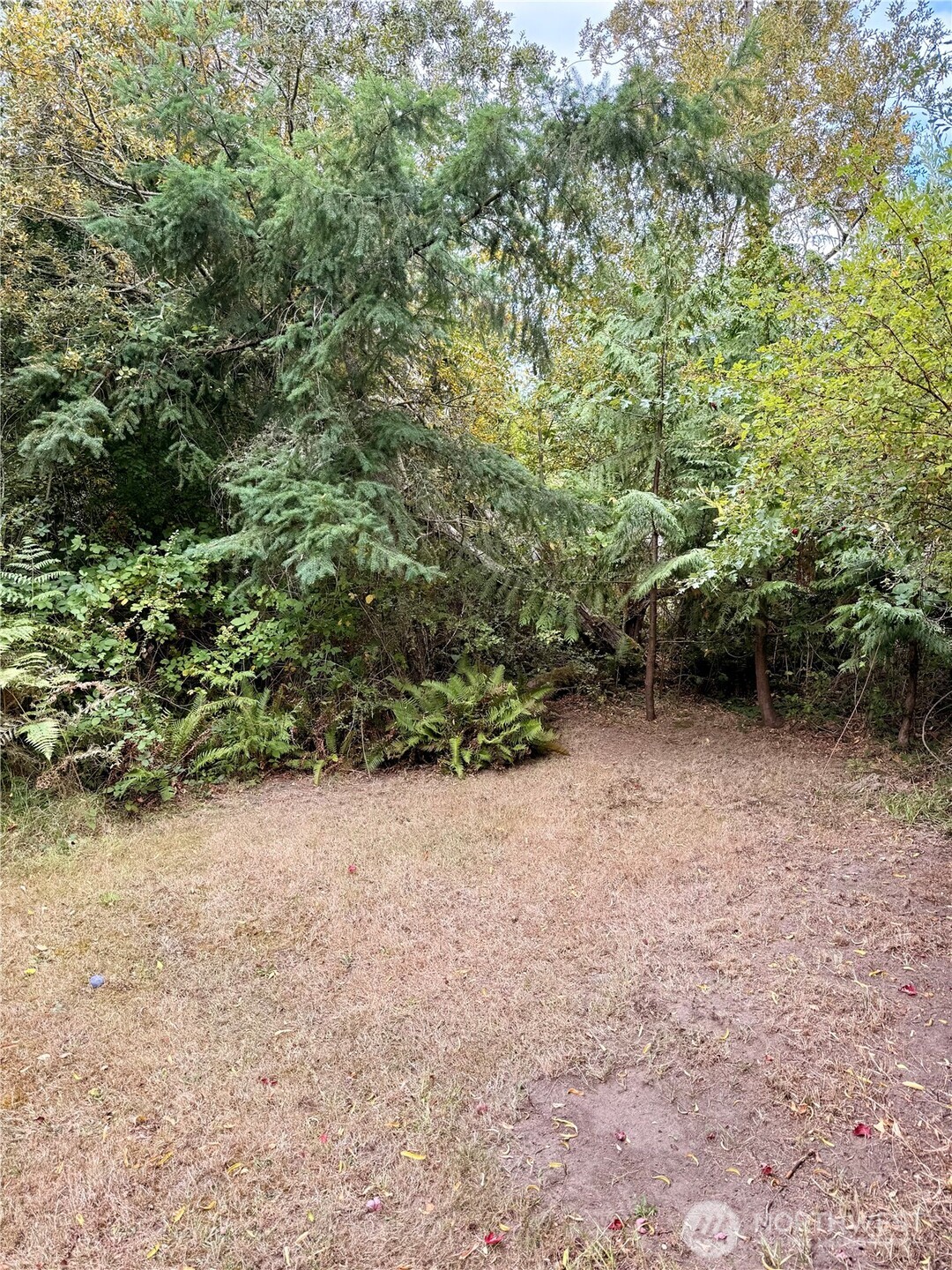 505 Linder Street Property Photo 10