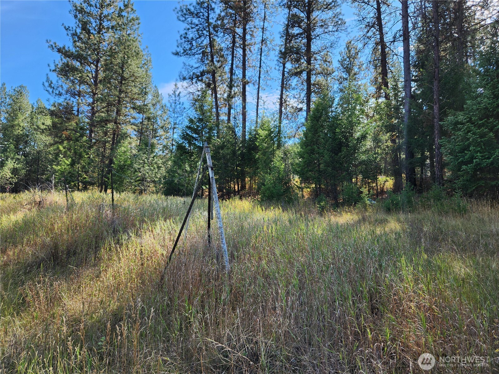 0 Tbd Pine Grove Street Property Photo 2
