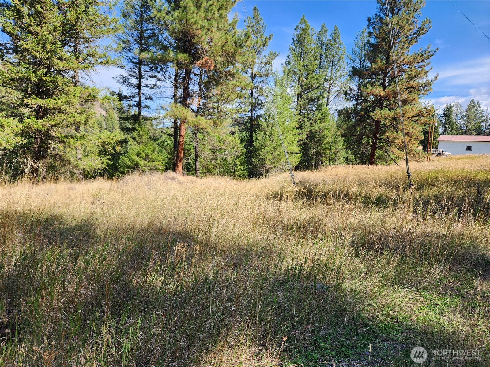 0 Tbd Pine Grove Street Property Photo 3