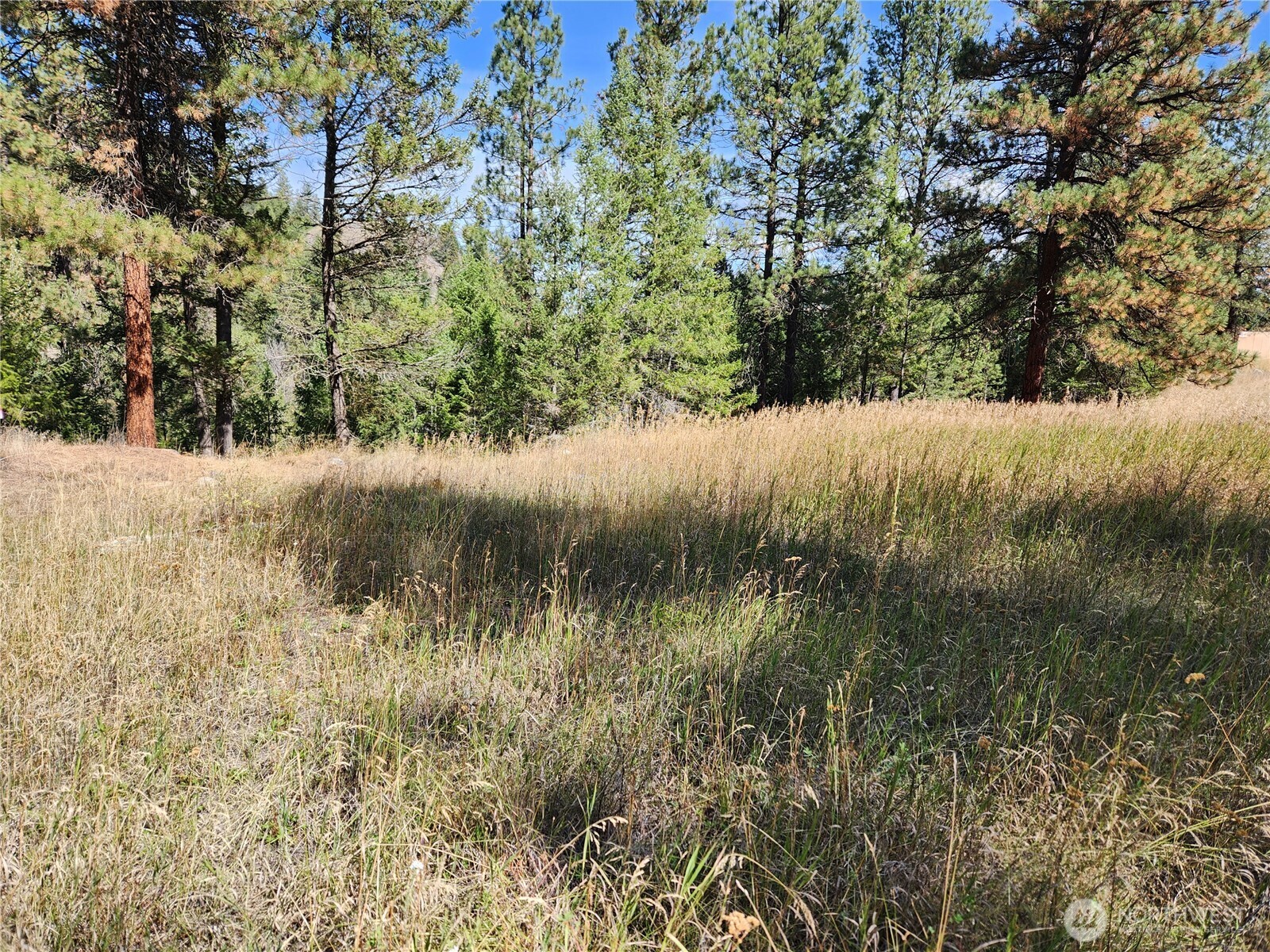 0 Tbd Pine Grove Street Property Photo 5