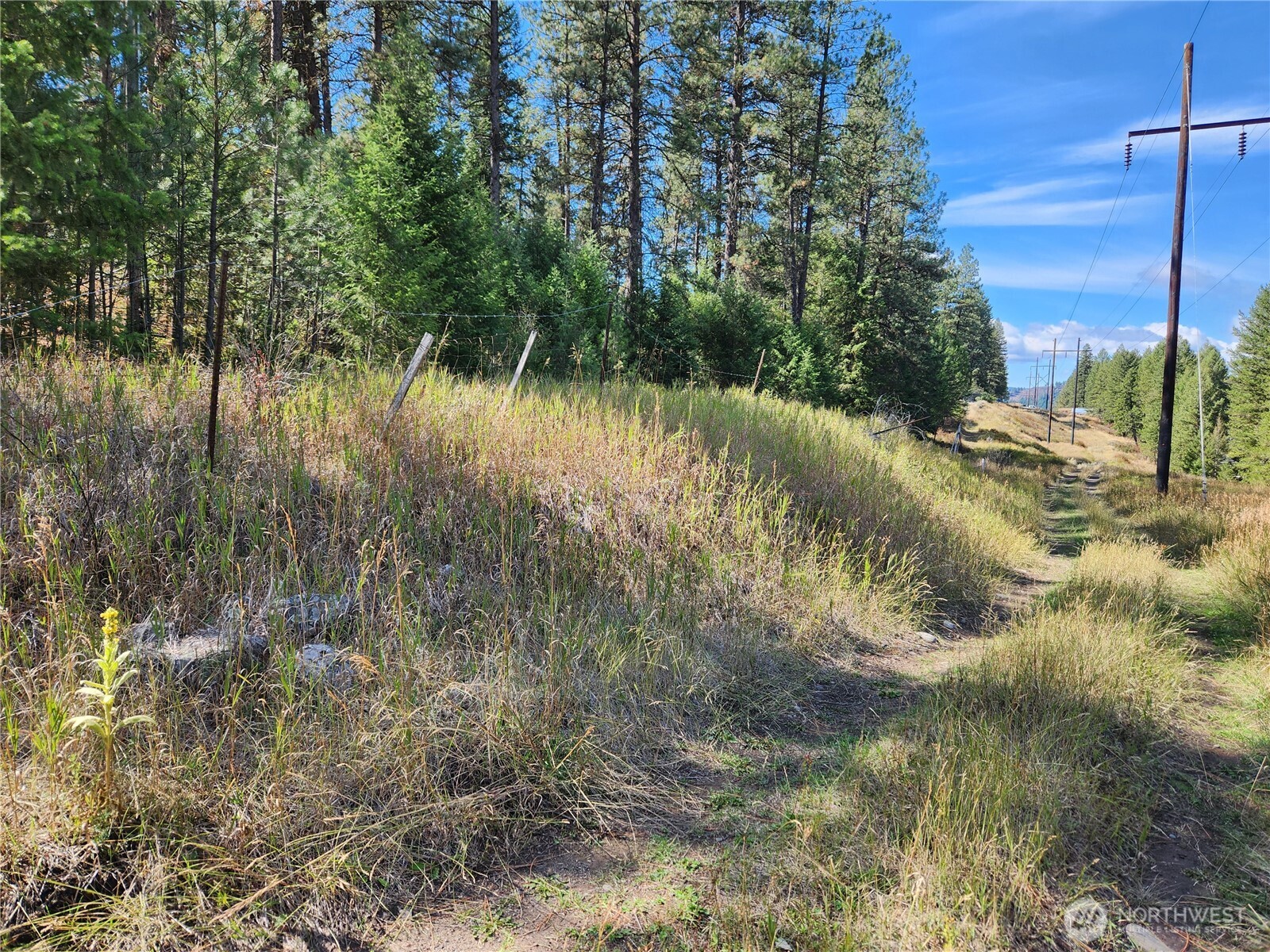 0 Tbd Pine Grove Street Property Photo 6