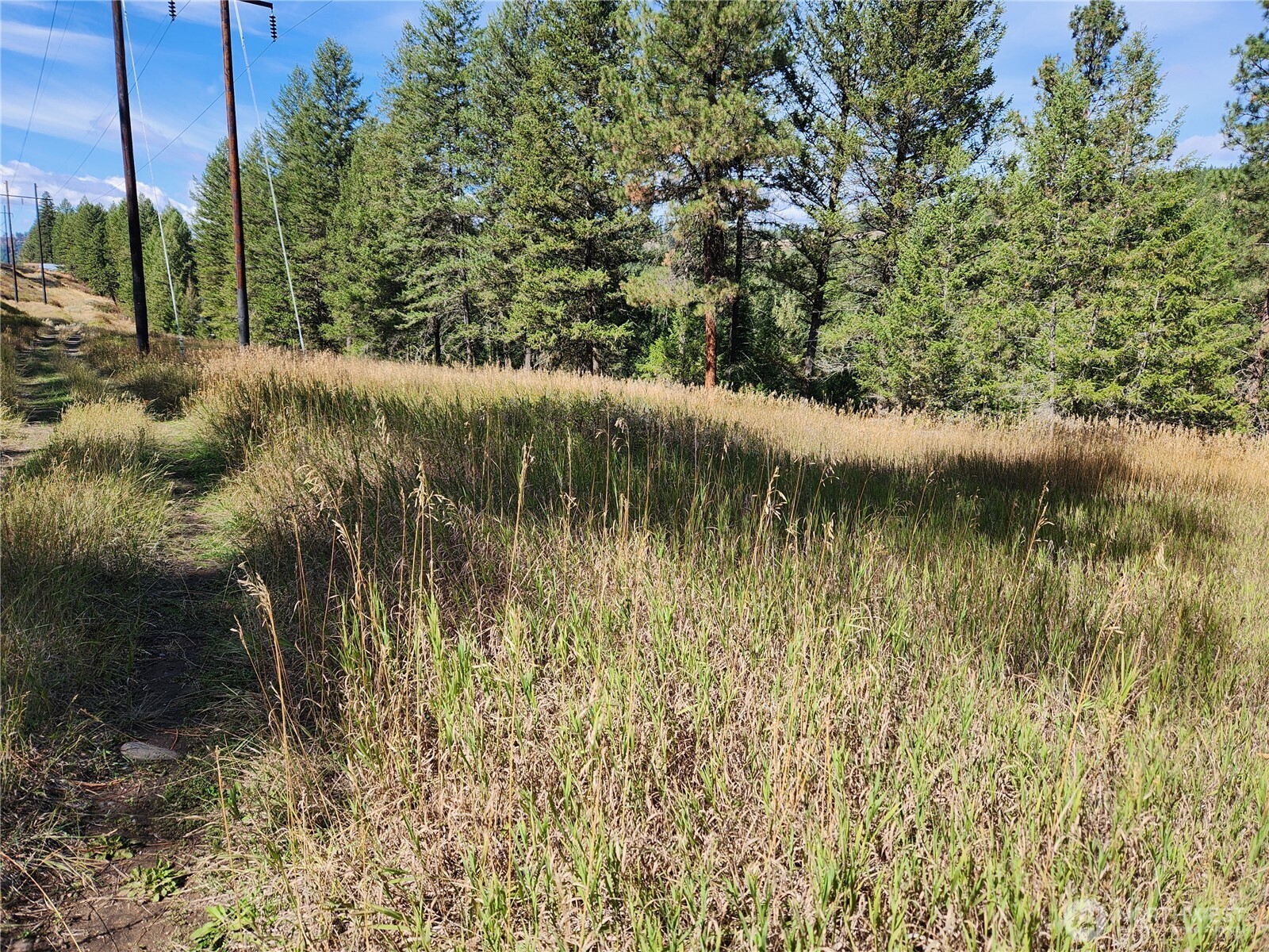 0 Tbd Pine Grove Street Property Photo 7