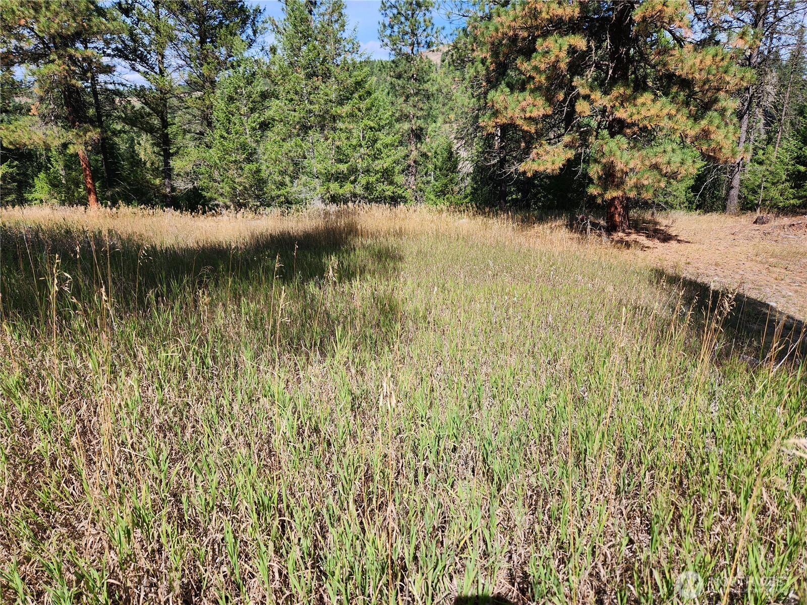 0 Tbd Pine Grove Street Property Photo 8