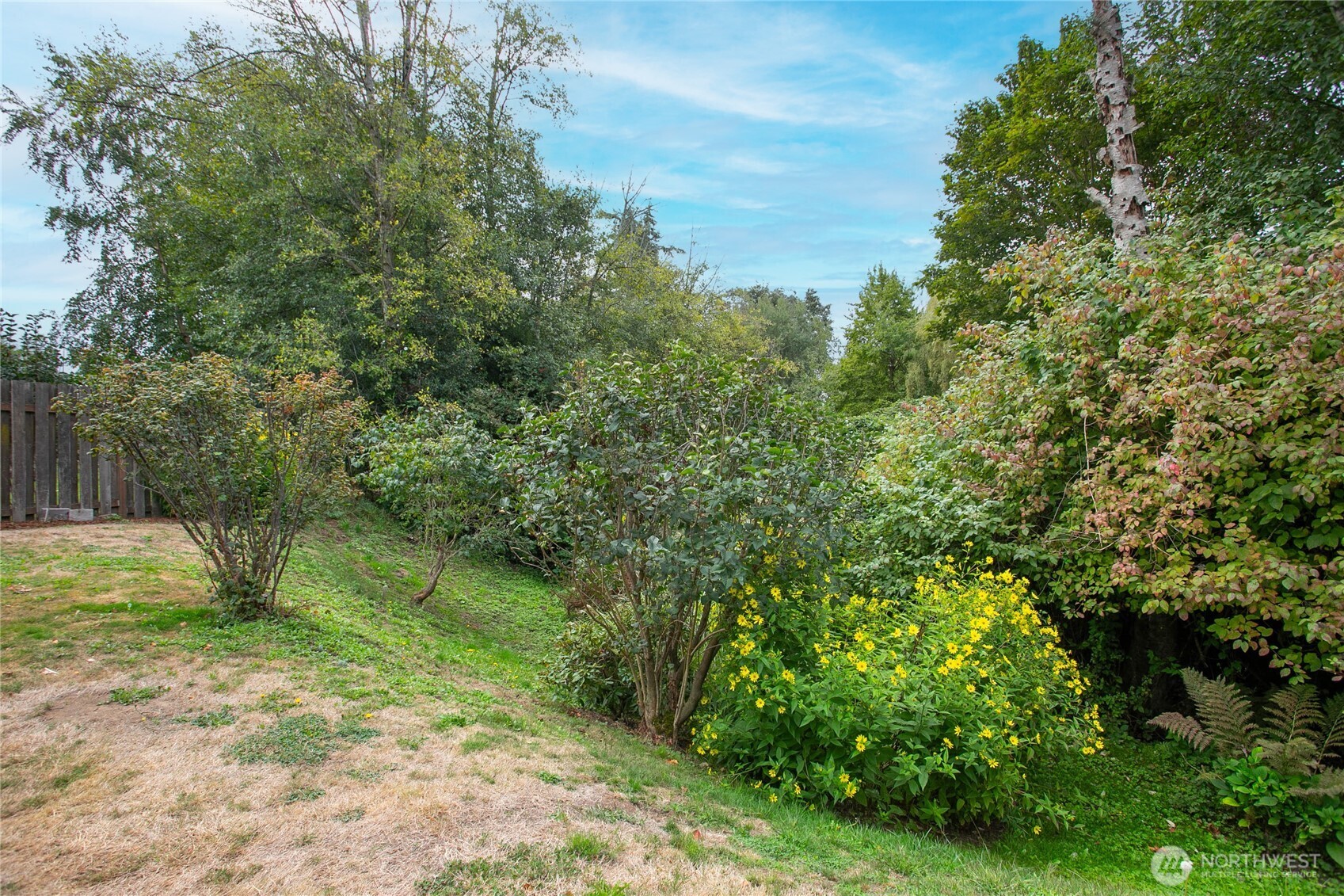 6151 Unrein Drive Property Photo 38