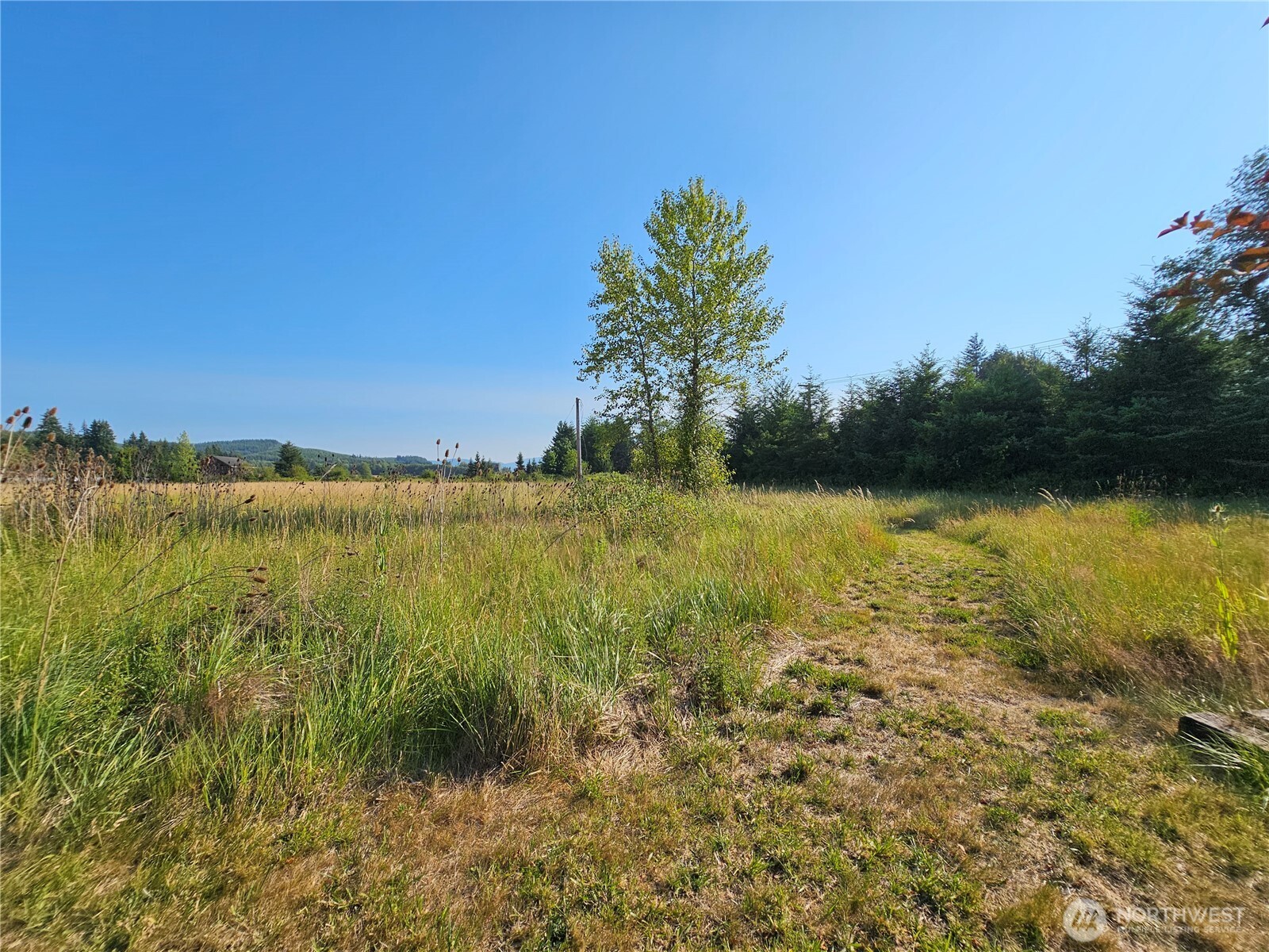 581 Boistfort Rd Property Photo 6
