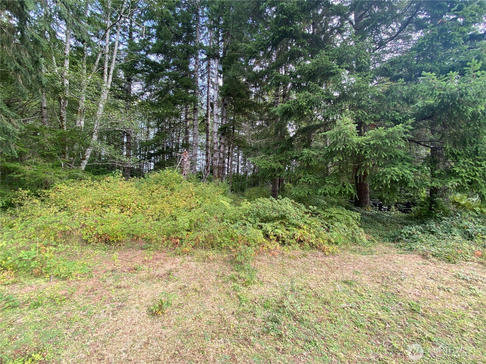 433 W Lucas Lane Property Photo 6