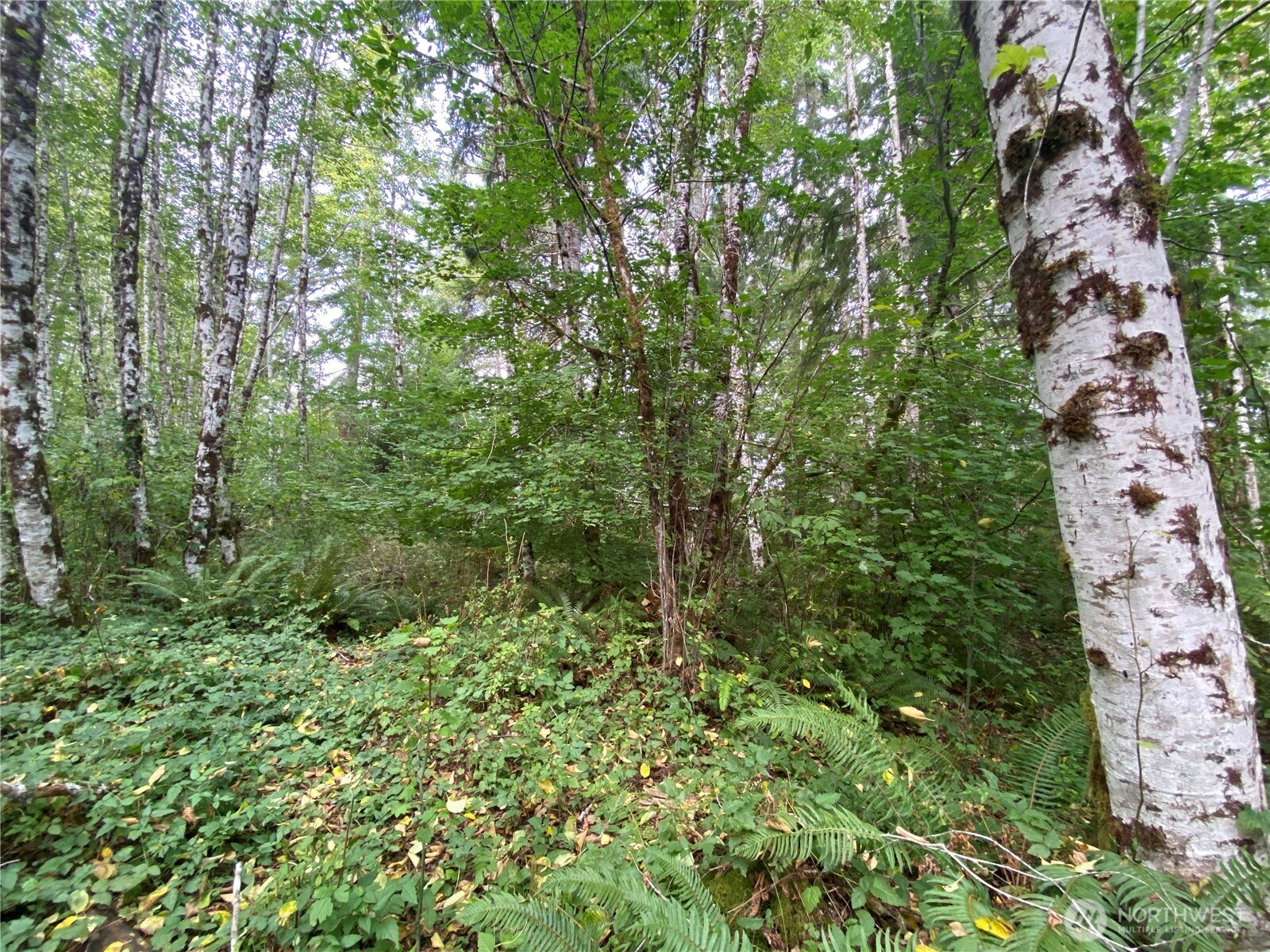 433 W Lucas Lane Property Photo 13