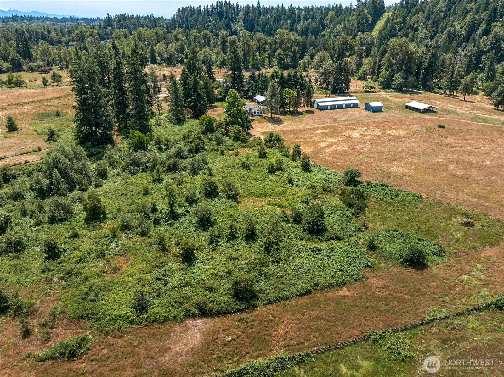 21115 Renton Maple Valley Road Property Photo 4