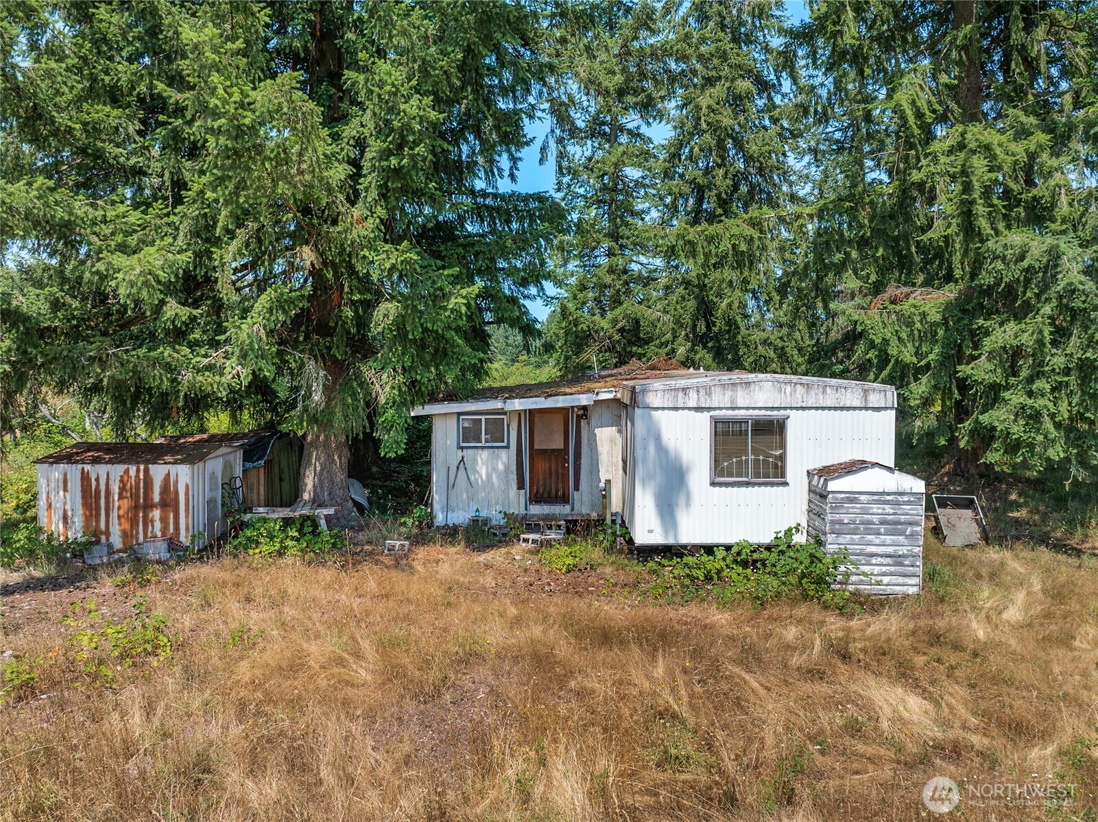 21115 Renton Maple Valley Road Property Photo 11