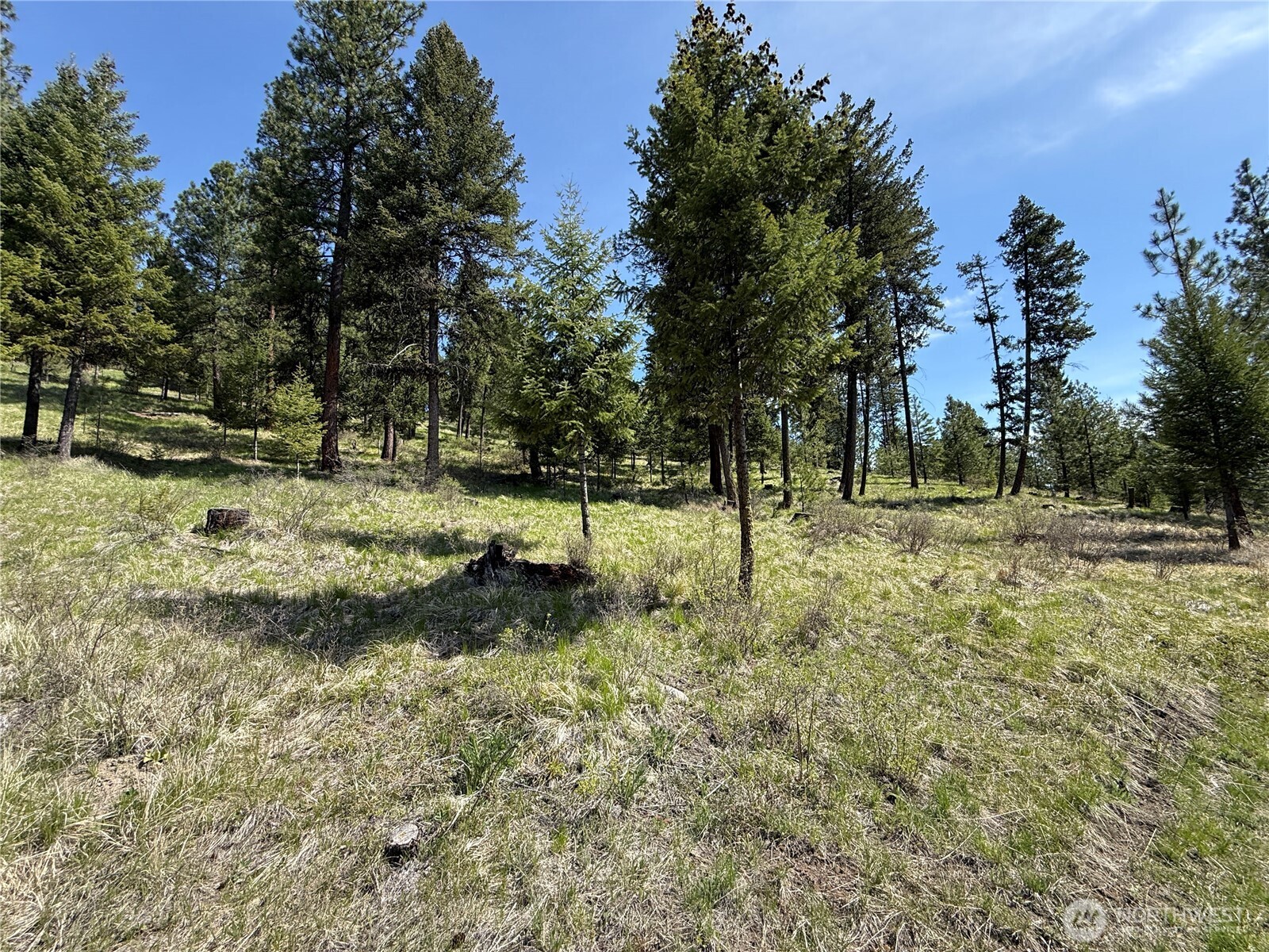 5 Starvation Ridge Road Property Photo 14