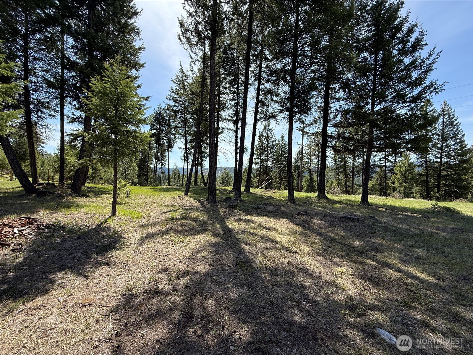 5 Starvation Ridge Road Property Photo 15