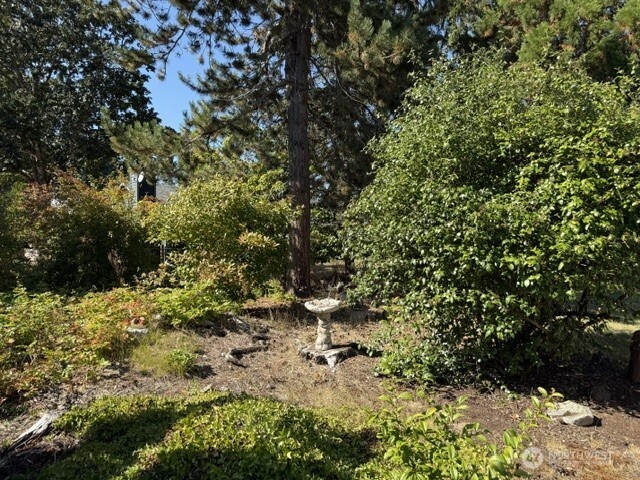 16106 14th Avenue Property Photo 30
