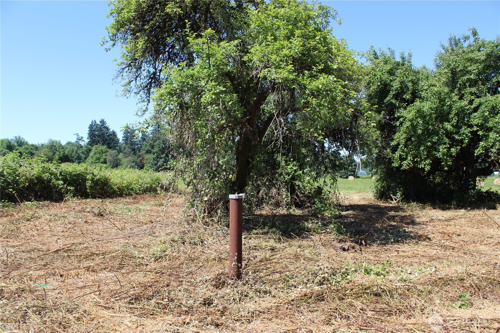 240 Elma Gate Road Property Photo 5