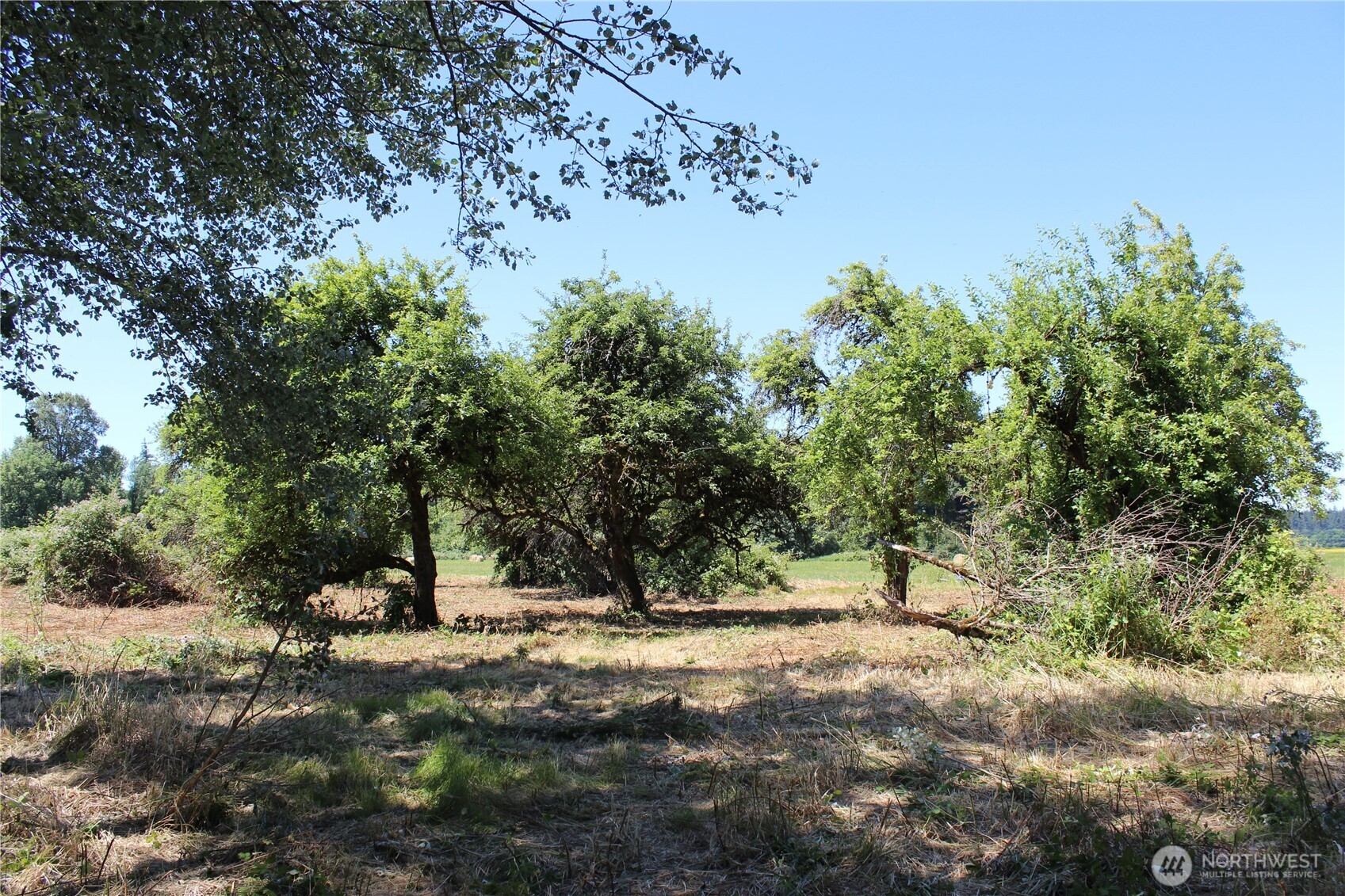 240 Elma Gate Road Property Photo 9