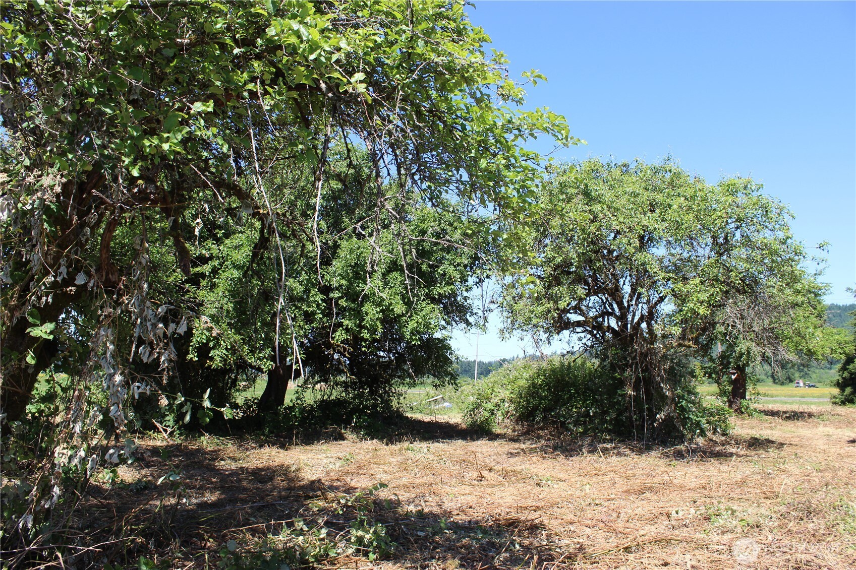 240 Elma Gate Road Property Photo 10