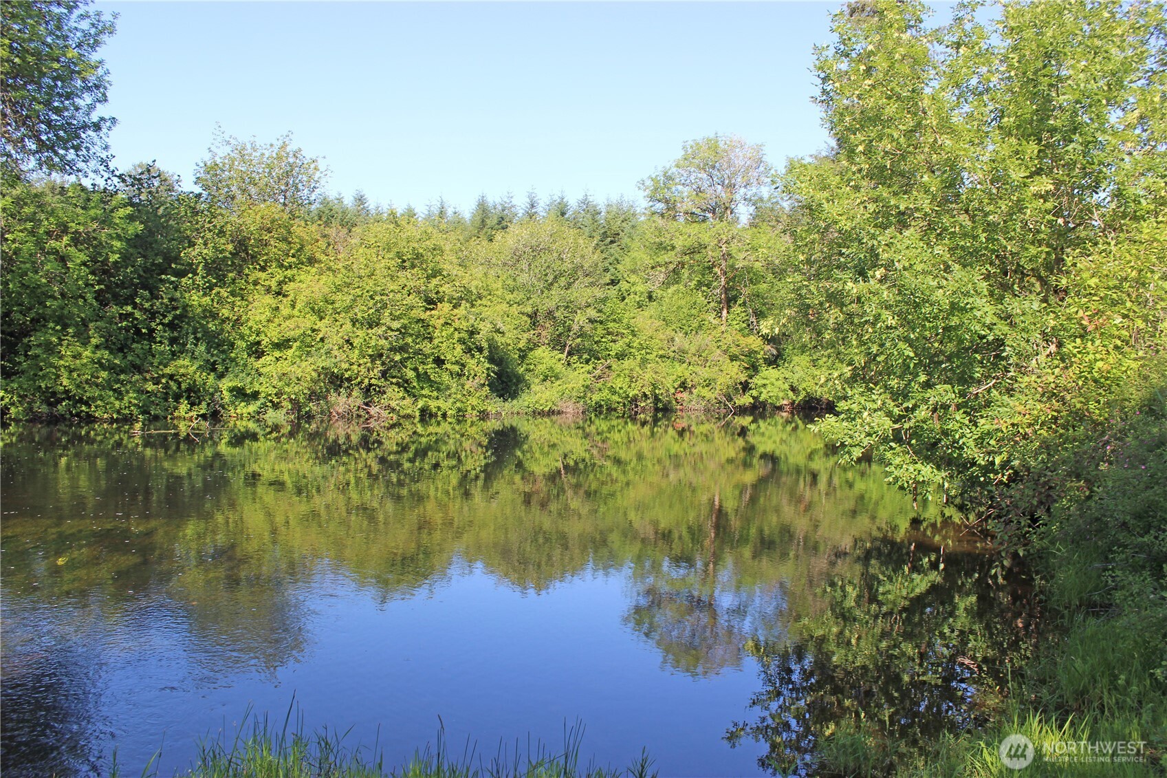 240 Elma Gate Road Property Photo 11