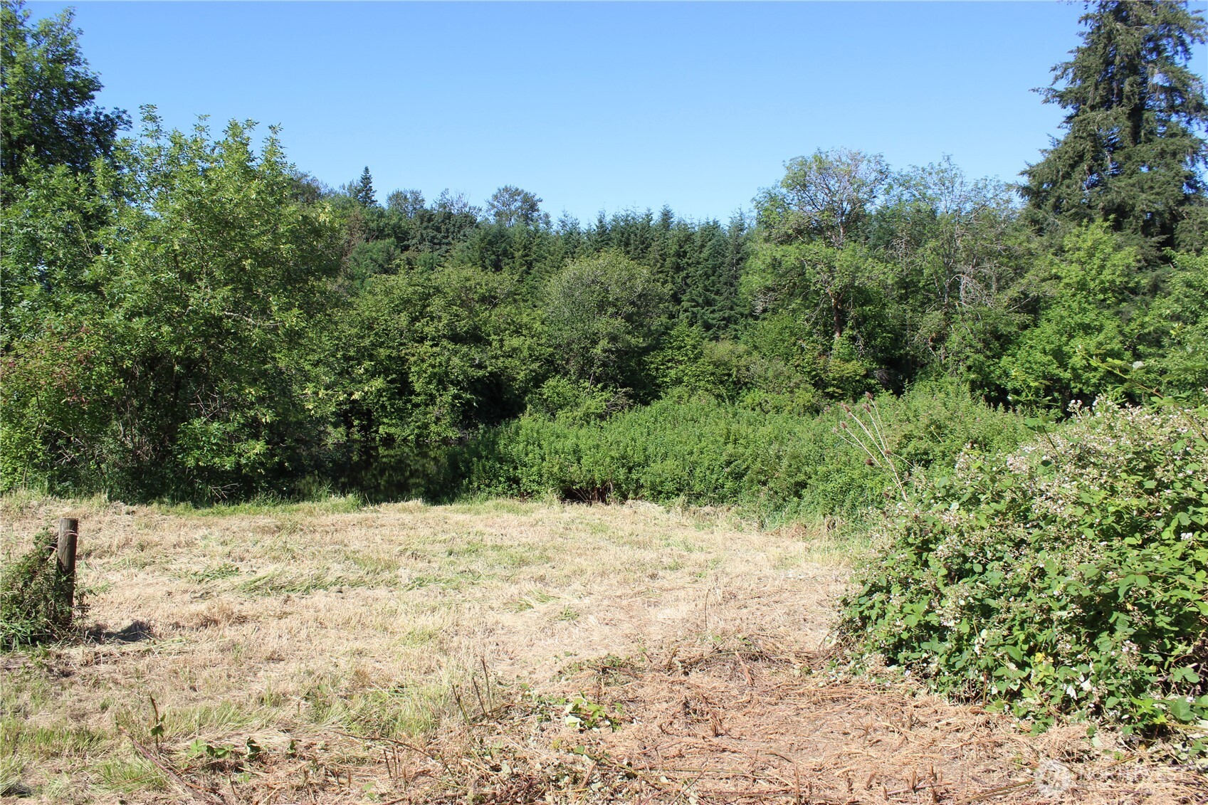 240 Elma Gate Road Property Photo 14