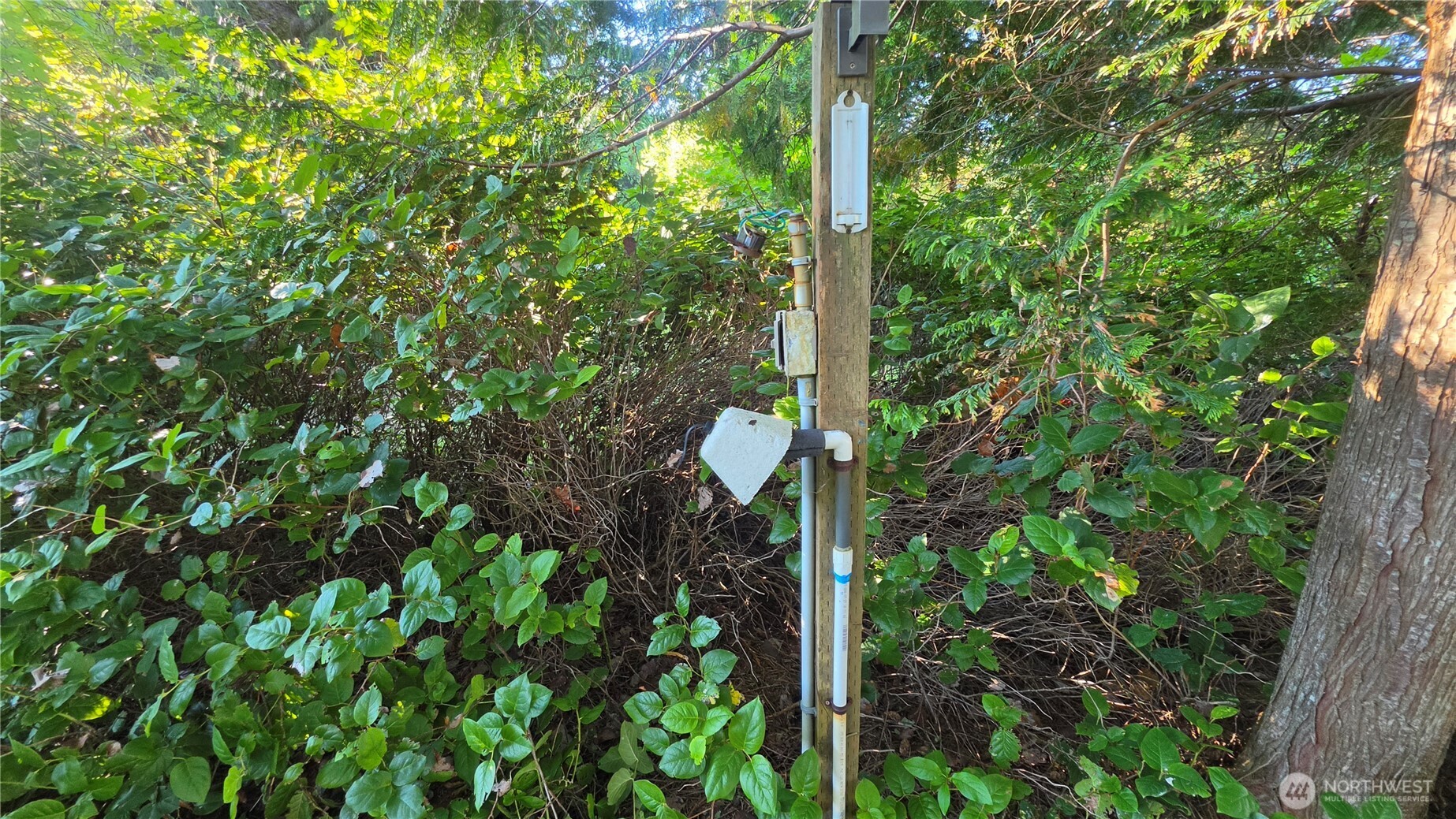 155 N Oar Loop Property Photo 7