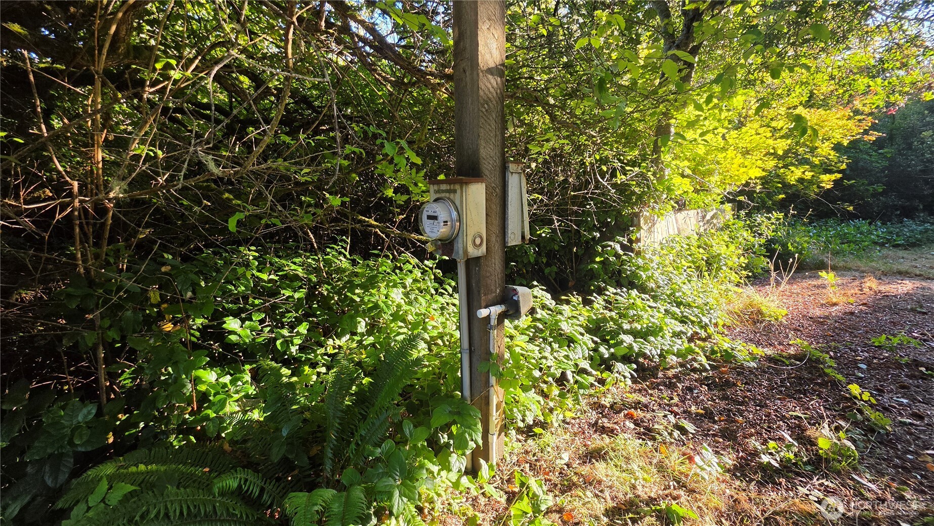 155 N Oar Loop Property Photo 8