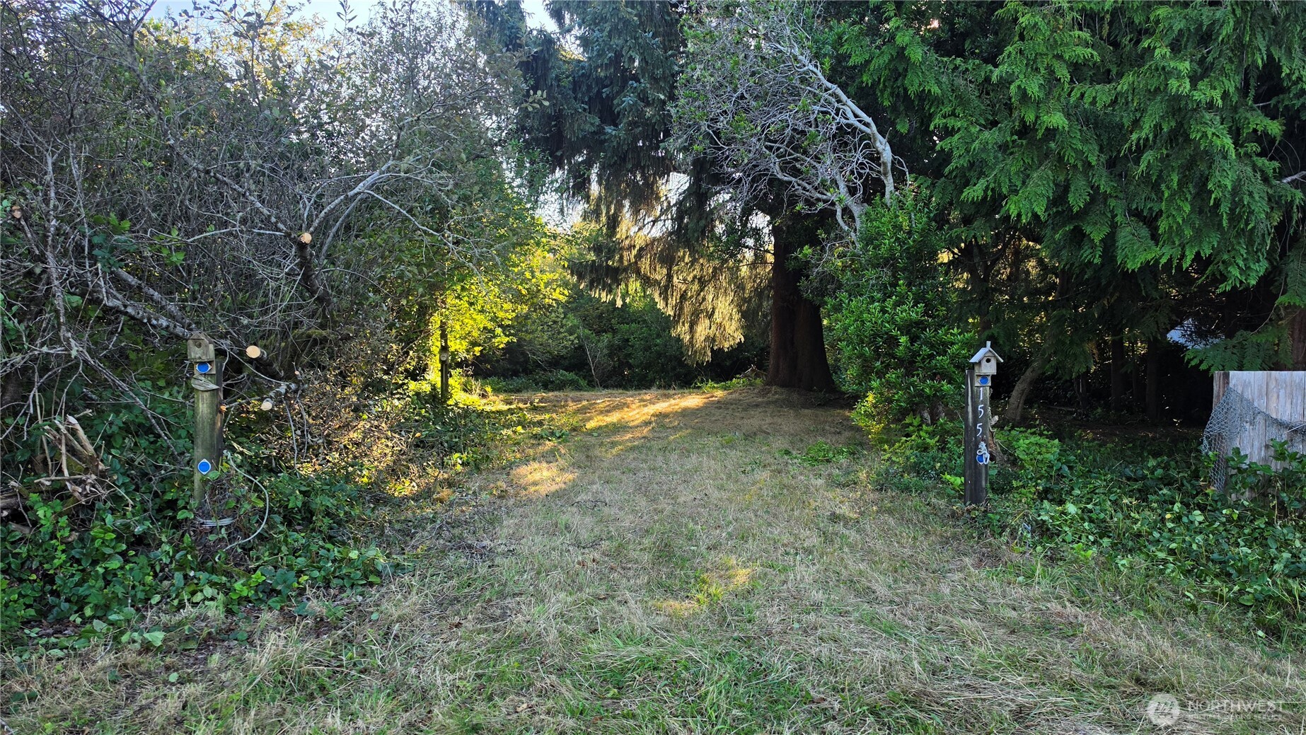 155 N Oar Loop Property Photo 11