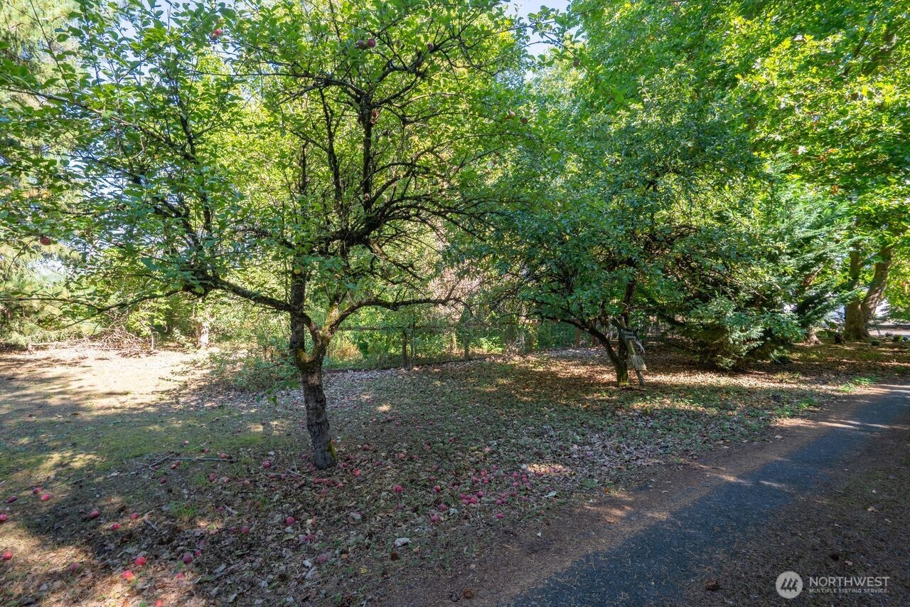 5474 Sand Road Property Photo 30