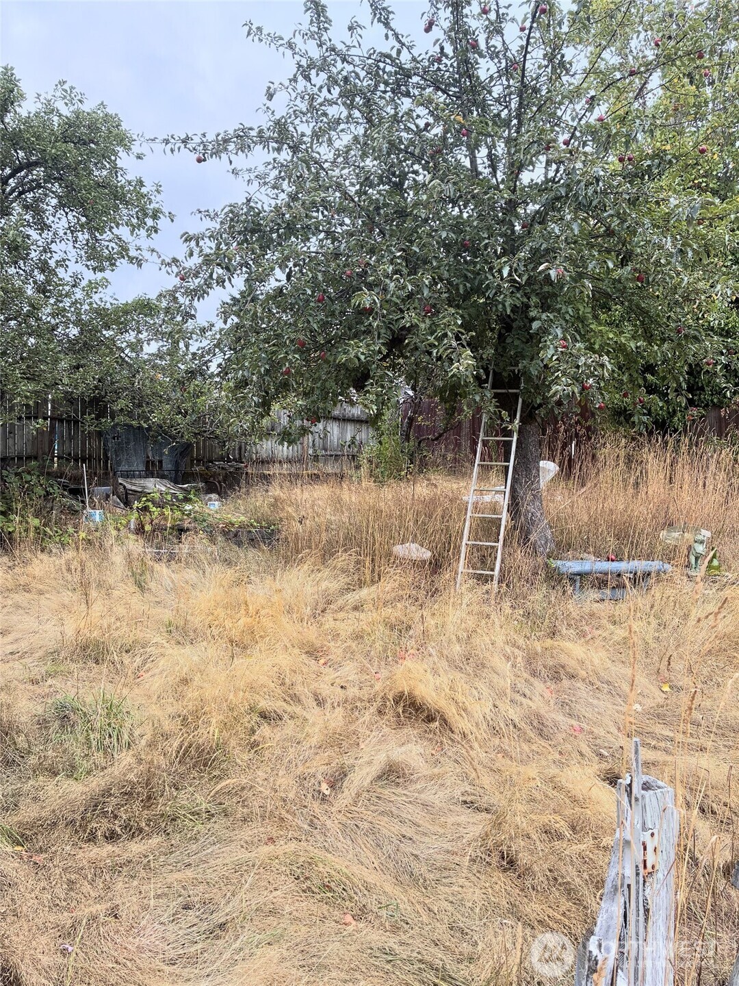 4134 W M Street Property Photo 13