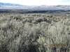 0 Lot 15 Diamondback Drive Property Photo 9