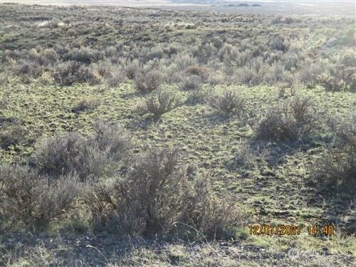 0 Lot 15 Diamondback Drive Property Photo 10