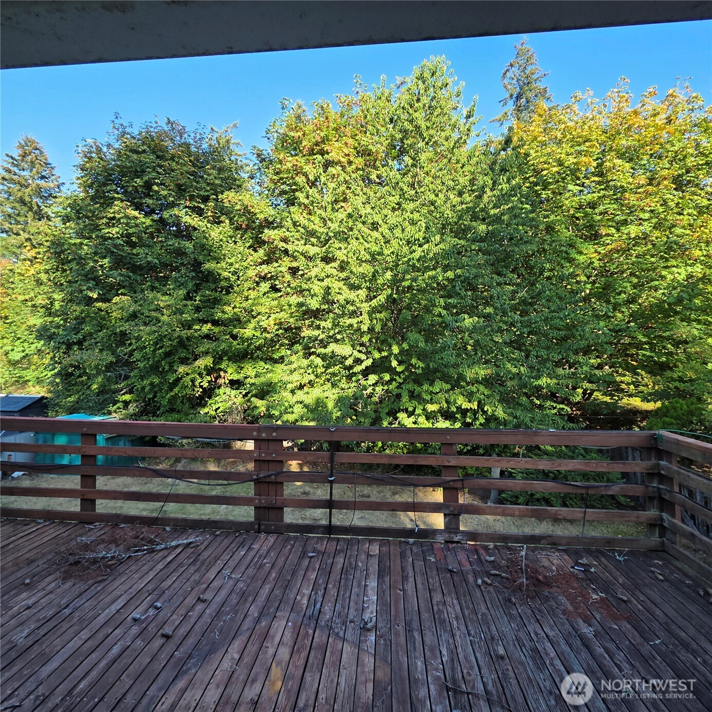 3710 Apollo Street Property Photo 10