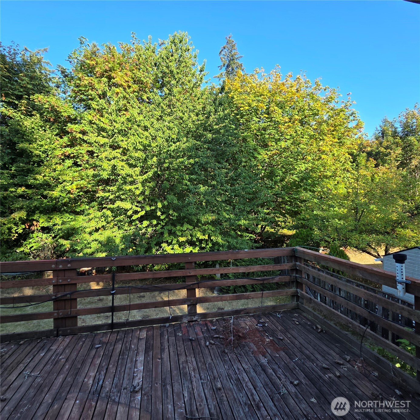 3710 Apollo Street Property Photo 11