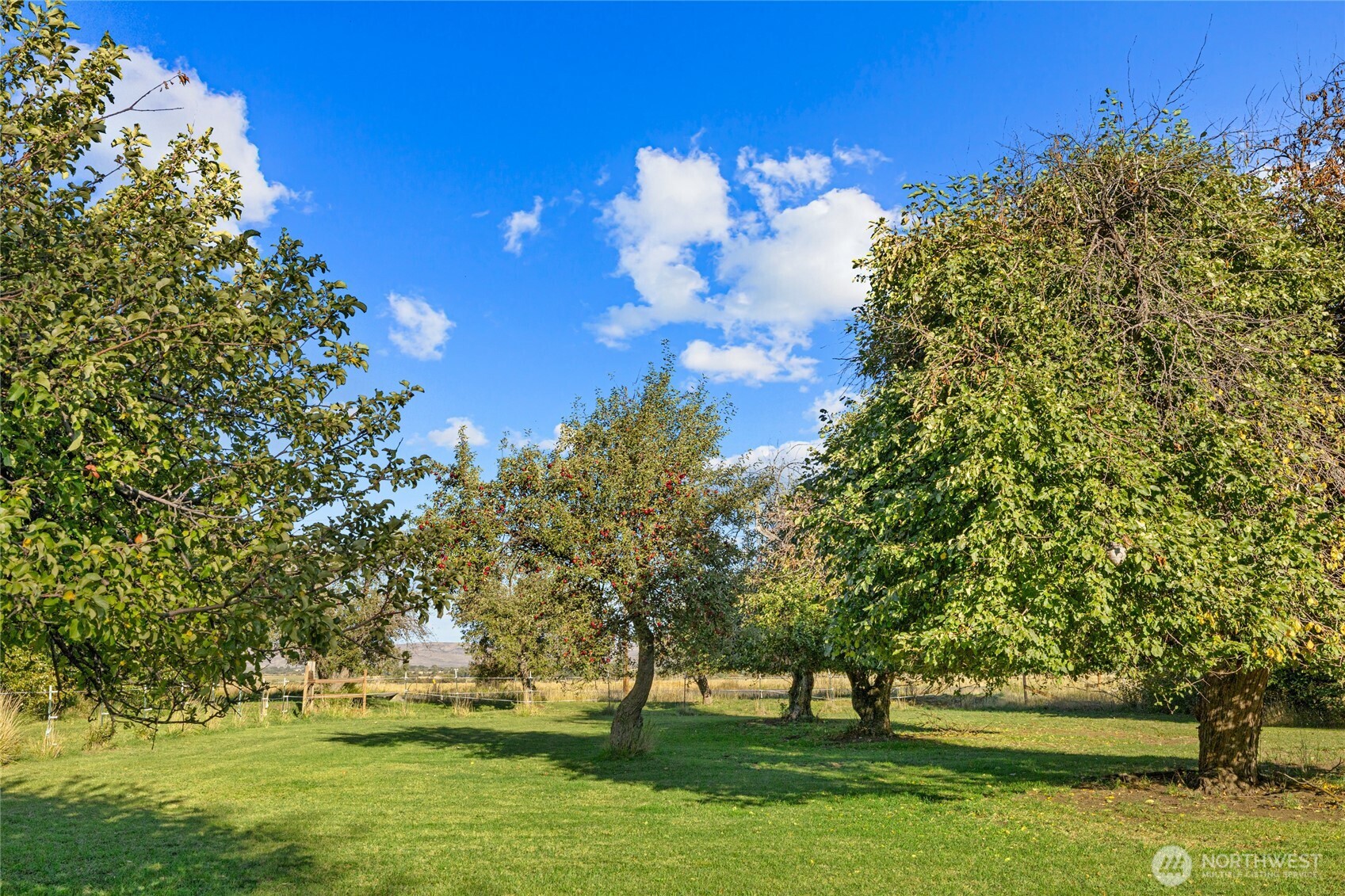 5351 Naneum Road Property Photo 32