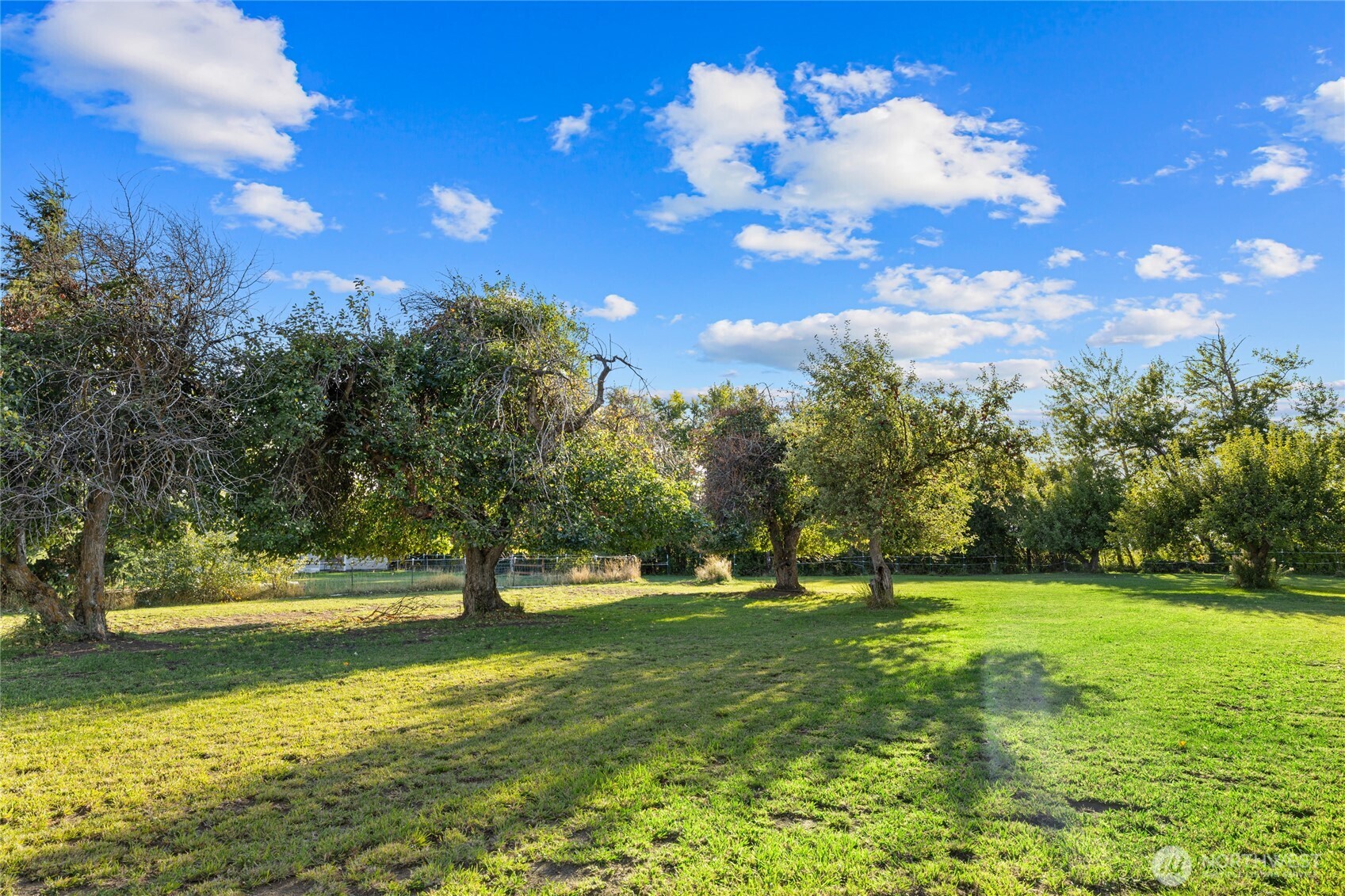 5351 Naneum Road Property Photo 33