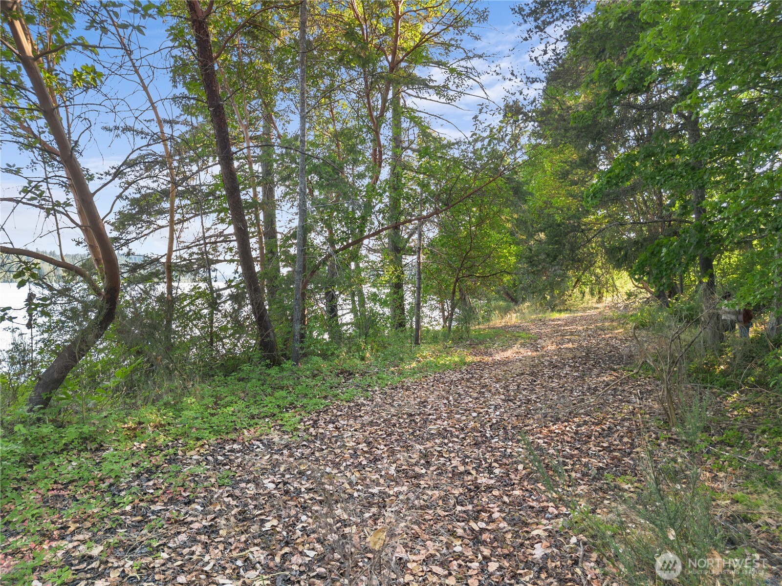 0 E State Rt 3 Property Photo 4