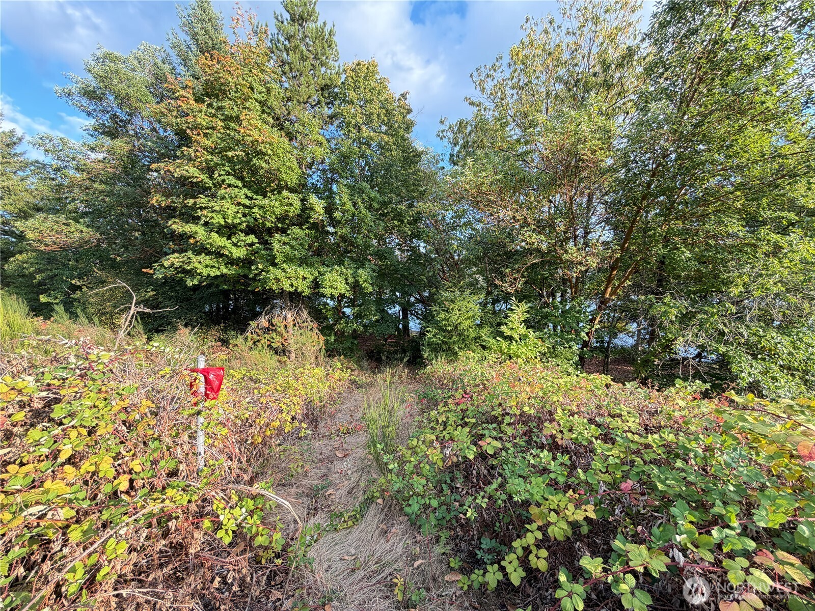 0 E State Rt 3 Property Photo 7