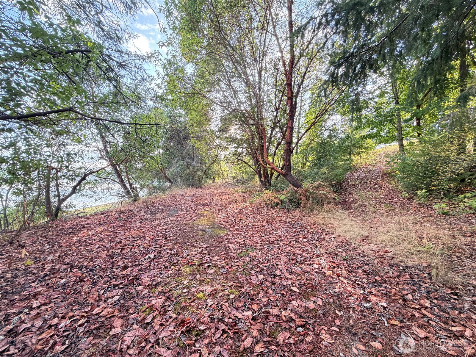 0 E State Rt 3 Property Photo 10