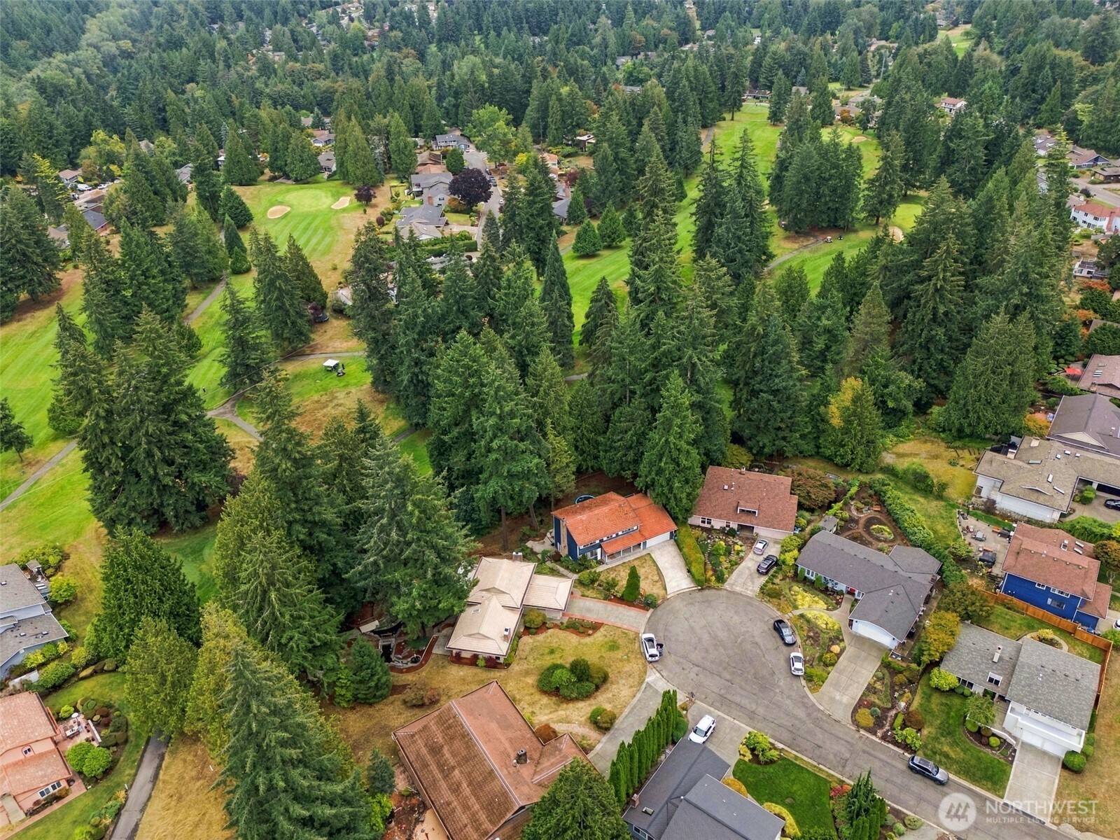 17102 146th Avenue Property Photo 32
