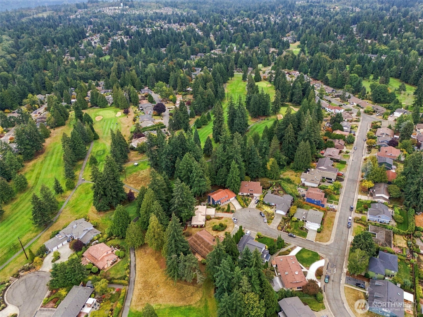 17102 146th Avenue Property Photo 33