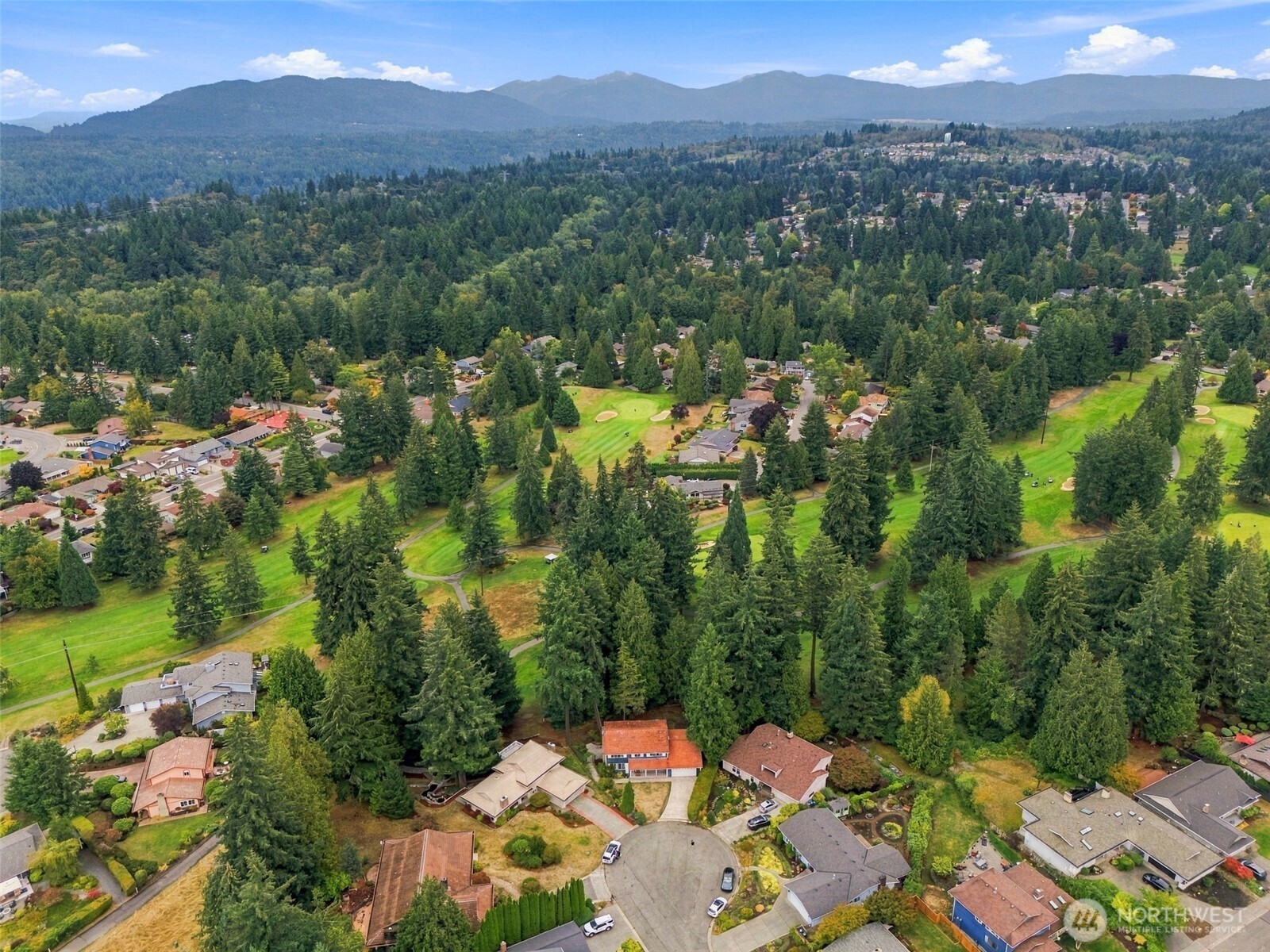 17102 146th Avenue Property Photo 35