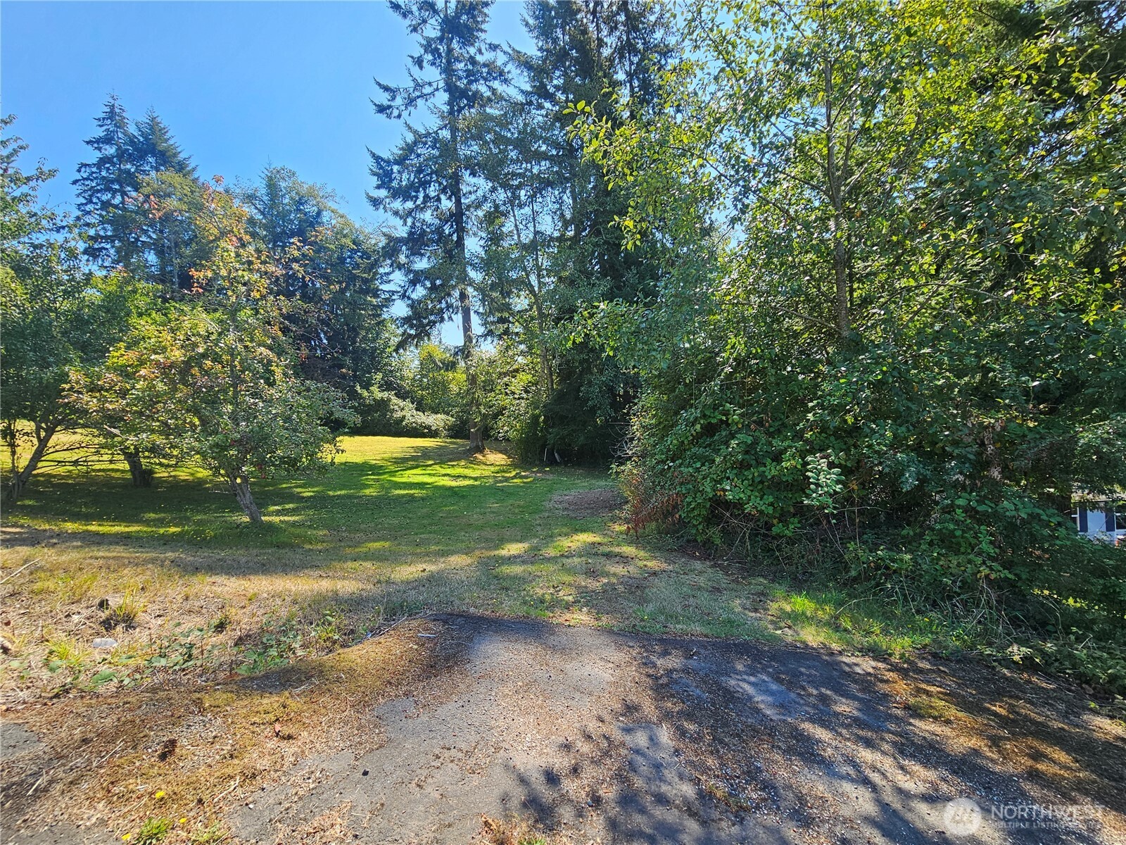 42 Clover Street Property Photo 4