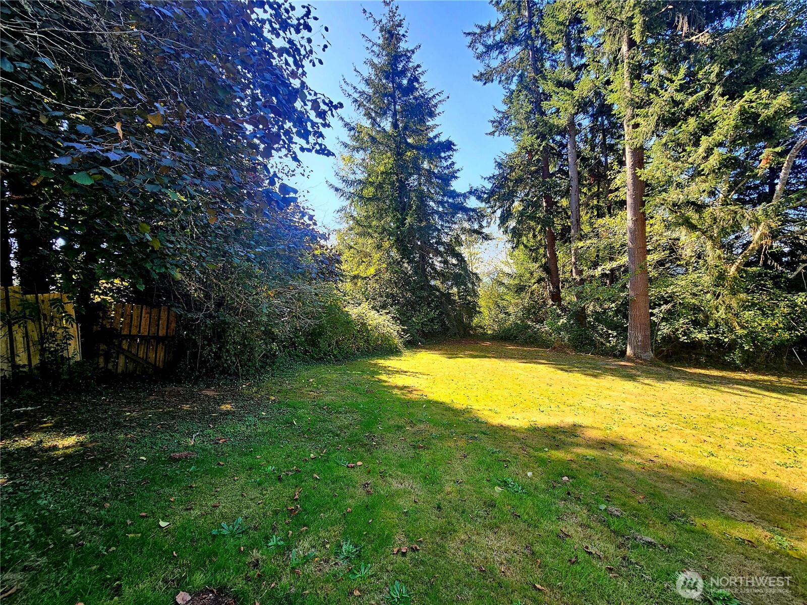 42 Clover Street Property Photo 5